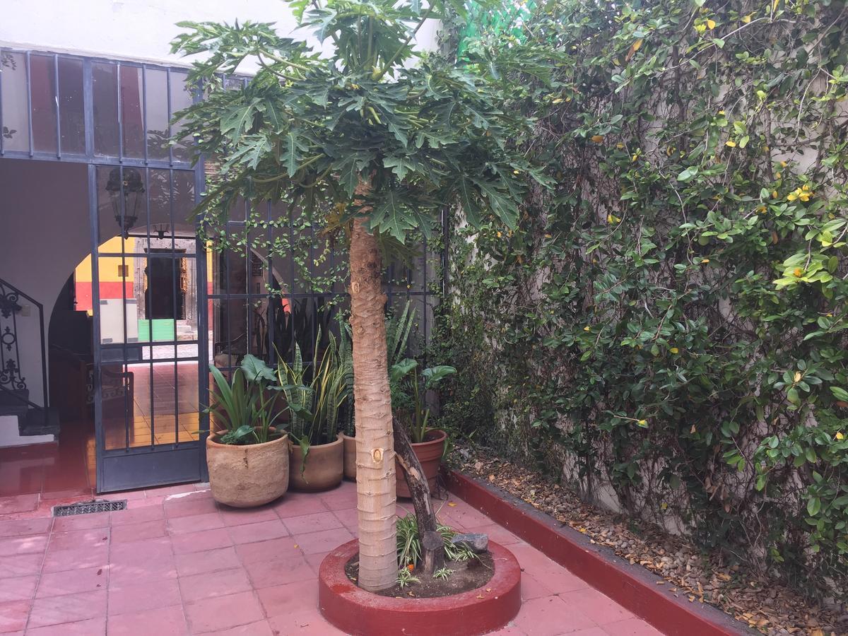 Alcatraz Hostal San Miguel de Allende Exterior photo